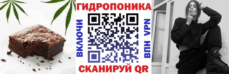блэк спрут как зайти Торжок Canna-Cookies конопля где купить наркоту