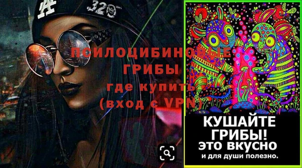 хмурый Алзамай