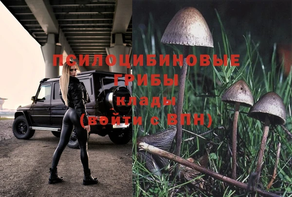 стафф Абдулино
