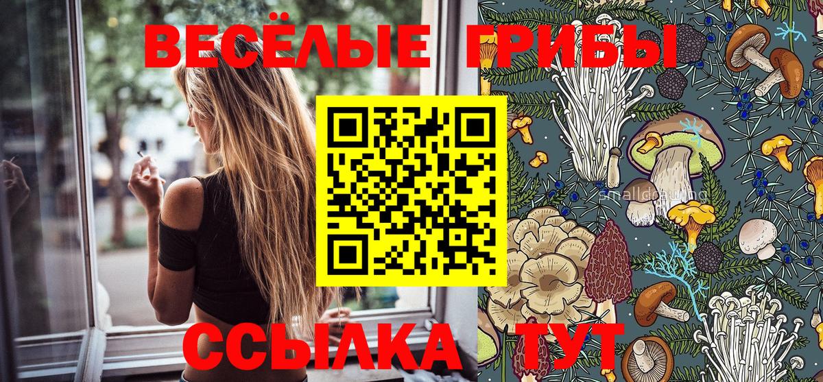 Галлюциногенные грибы ЛСД Торжок